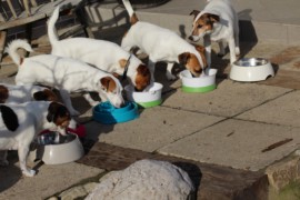 IMG 3886